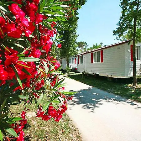 Nyaraló Mobilehome In